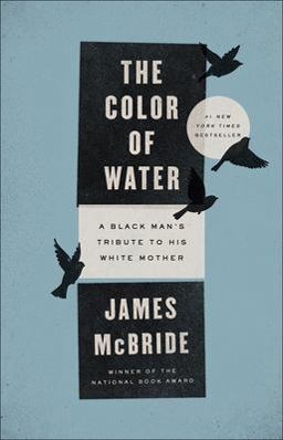 Color of Water A Black Man's Tribute to His White Mother  9780756972684 Front Cover