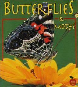 Butterflies and Moths Butterflies and Moths