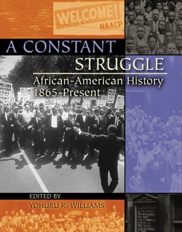 Constant Struggle: African-American History 1865-Present 2nd 9780757517594 Front Cover