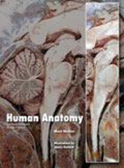 Human Anatomy