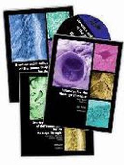 Structure and Function of the Human Body for the Massage Therapist