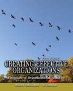 Creating Effective Organizations