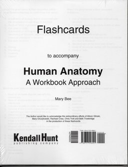 Human Anatomy Flashcards