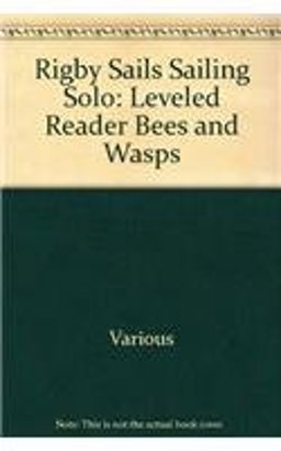 Rigby Sails Sailing Solo