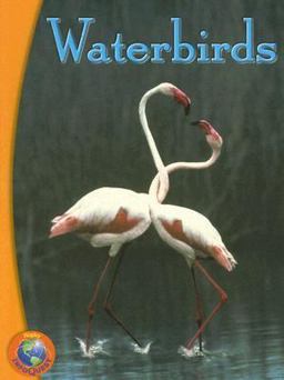 Waterbirds
