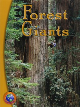 Forest Giants