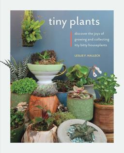 Tiny Plants Discover the Joys of Growing and Collecting Itty-Bitty Houseplants  9780760369579 Front Cover