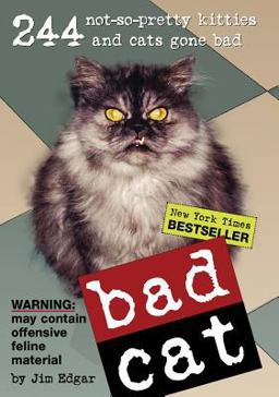 Bad Cat 244 Not-So-Pretty Kitties and Cats Gone Bad  9780761136194 Front Cover