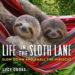 Life in the Sloth Lane Slow down and Smell the Hibiscus  9780761193227 Front Cover