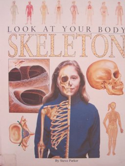 The Skeleton
