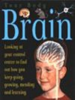 Brain