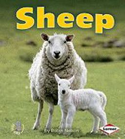 Sheep