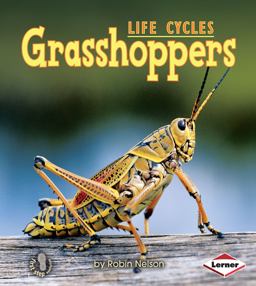Grasshoppers