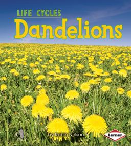 Dandelions
