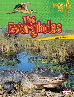 The Everglades