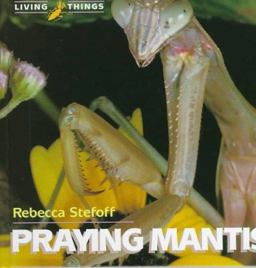 Praying Mantis