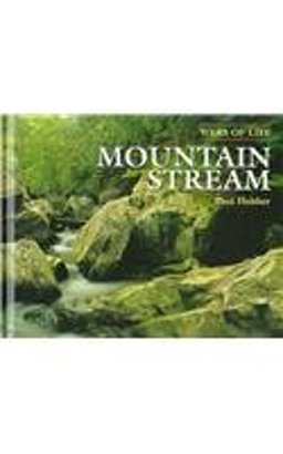 Mountain Stream