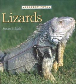 Lizards
