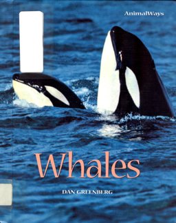 Whales