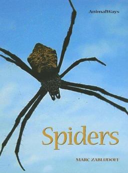 Spiders