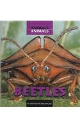 Beetles