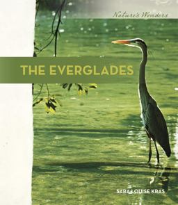 The Everglades