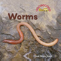 Worms