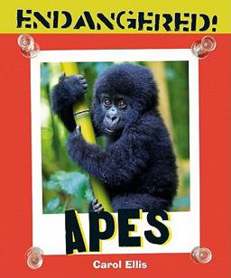 Apes Apes