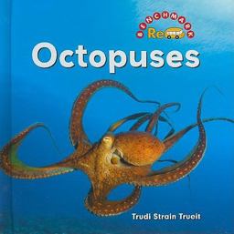 Octopuses