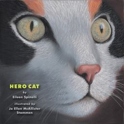 Hero Cat  9780761458371 Front Cover