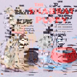 Shabbat Puppy  9780761461456 Front Cover