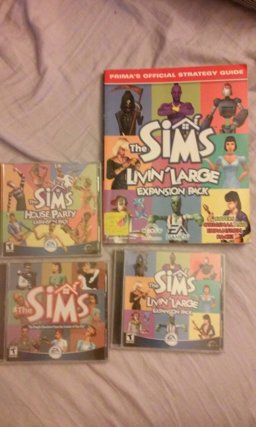 The Sims