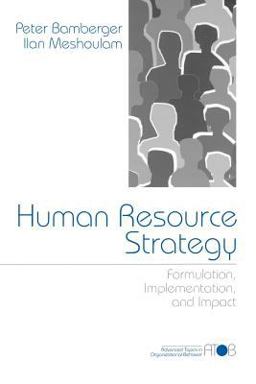 Human Resource Strategy Formulation, Implementation, and Impact  9780761914259 Front Cover