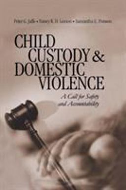 Child Custody and Domestic Violence A Call for Safety and Accountability  9780761918264 Front Cover
