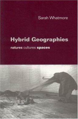 Hybrid Geographies