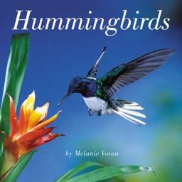 Hummingbirds