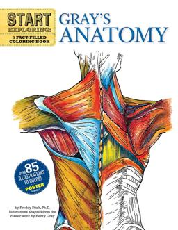 Start Exploring: Gray's Anatomy A Fact-Filled Coloring Book  9780762440733 Front Cover