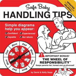 Safe Baby Handling Tips  9780762456581 Front Cover