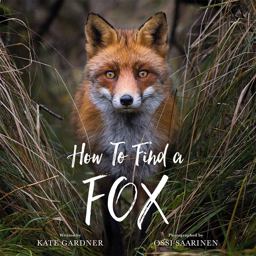 How to Find a Fox How to Find a Fox