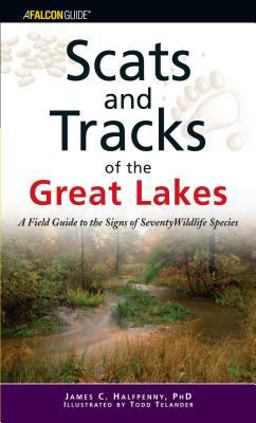 Scats and Tracks of the Great Lakes