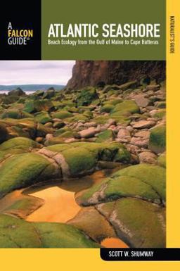 Naturalist's Guide to the Atlantic Seashore Beach Ecology from the Gulf of Maine to Cape Hatteras  9780762742370 Front Cover