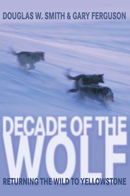 Decade of the Wolf Returning the Wild to Yellowstone  9780762779055 Front Cover