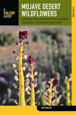 Mojave Desert Wildflowers A Field Guide to Wildflowers, Trees, and Shrubs of the Mojave Desert, Including the Mojave National Preserve, Death Valley National Park, and Joshua Tree National Park 2nd 9780762780334 Front Cover