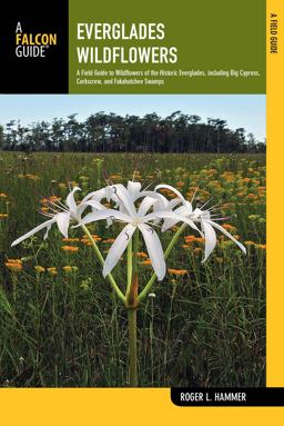 Everglades Wildflowers A Field Guide to Wildflowers of the Historic Everglades, Including Big Cypress, Corkscrew, and Fakahatchee Swamps 2nd 9780762787531 Front Cover