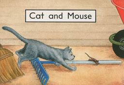 Cat and Mouse