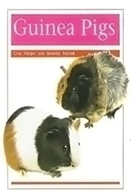 Guinea Pigs