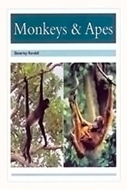 Monkeys and Apes