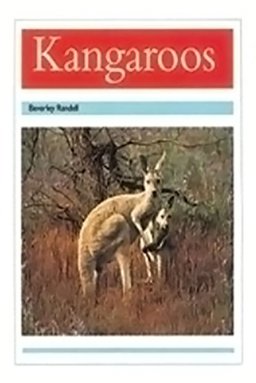 Kangaroos