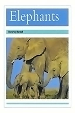 Elephants