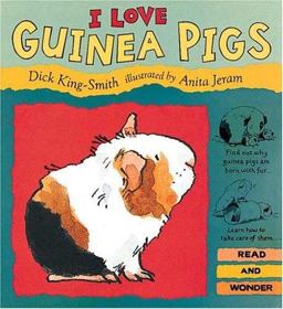 I Love Guinea Pigs